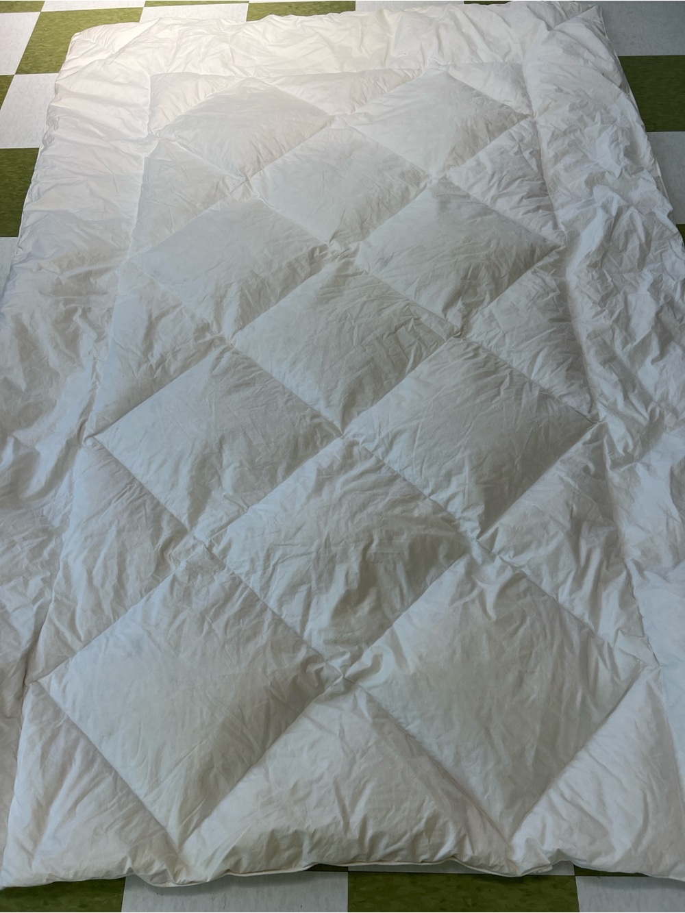Pacific coast duvet Quilt goose feather Down filling ,Twin Victorian